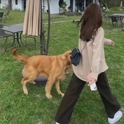 女系家族